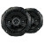 DS Series 5.25" Coax (43DSC504) **Not For Export**